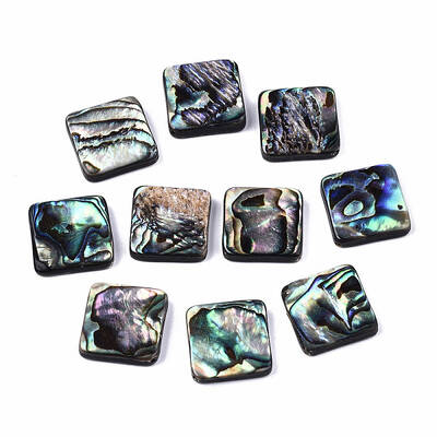 Natural Abalone Shell/Paua Shell Beads
