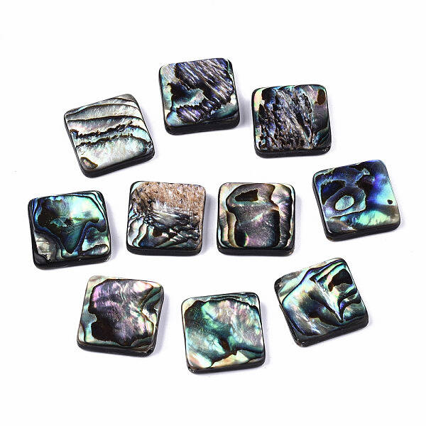 Natural Abalone Shell/Paua Shell Beads