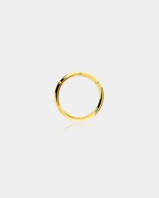 18G 14K Gold Segment Nose Hoop - 10mm