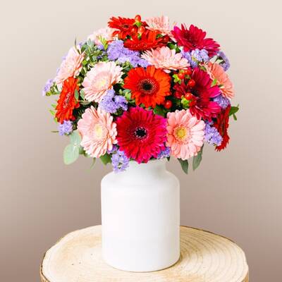 Pink and Red Gerberas