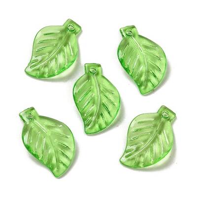 Transparent Acrylic Pendant