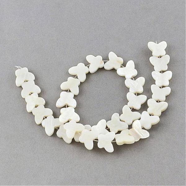 Natural Sea Shell Beads Strands