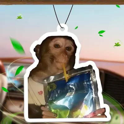 Monkey Design Car Air Freshener, Car Rear-view Mirror Hanging Aromatherapy Tablet, Car Interior Decoration Accessories for Wo...