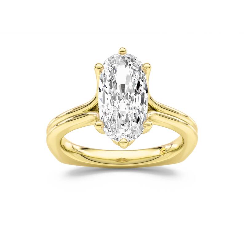 Fleur Elongated Cushion Cut Lab Grown Diamond Engagement Ring | 14K Yellow Gold 3 1/2 CT. TW.