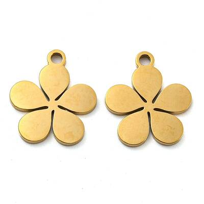 Ion Plating(IP) 316 Surgical Stainless Steel Charms