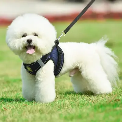 Cat Reflective Dog Harness with Leash, Adjustable Breathable Mesh Pet Harness with Traction Rope, Great for Small Dogs, Pet S...