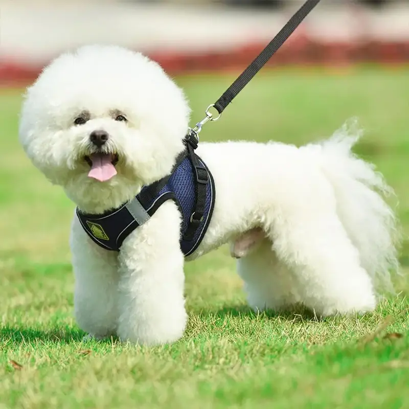 Cat Reflective Dog Harness with Leash, Adjustable Breathable Mesh Pet Harness with Traction Rope, Great for Small Dogs, Pet S...