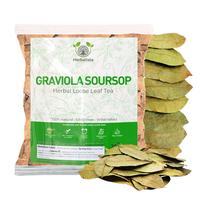 Herbalista - Premium Whole Dried Graviola Soursop Leaf (4 oz | 350+ Leaves) | 100% Natural Hoja de Guanabana | Fresh, Wildcra...