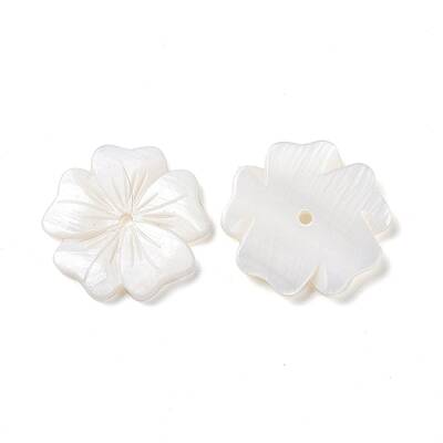 Natural White Shell Beads
