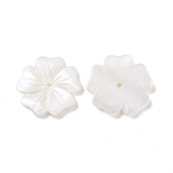 Natural White Shell Beads