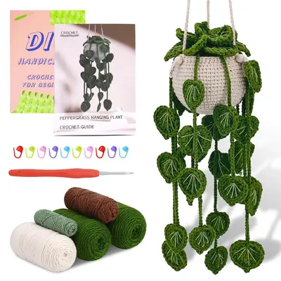 Crochet Kit for Beginners, Hanging Potted Plants Crochet Starter Kit with Step-by-step Video Tutorials, Complete Crochet Kit ...