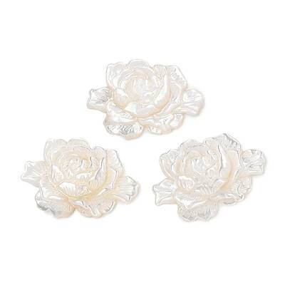 Natural White Shell Carved Cabochons