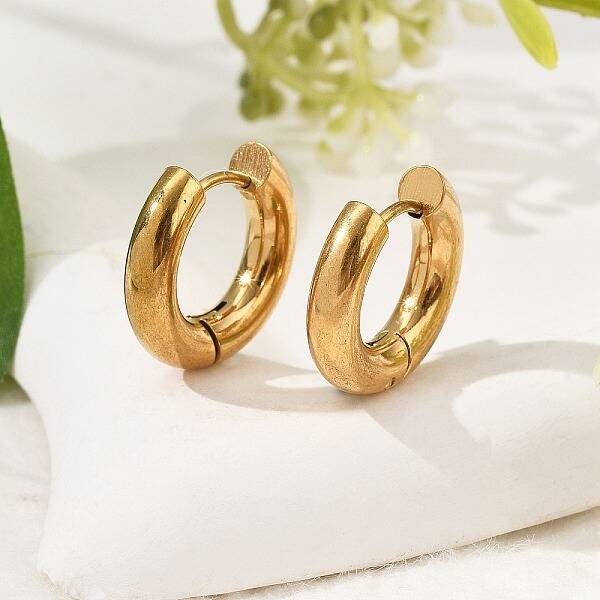 304 Stainless Steel Hoop Earrings