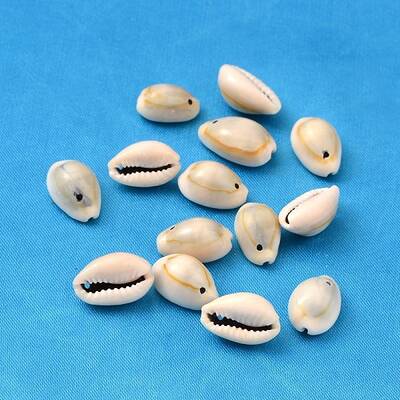 Natural Cowrie Shell Pendants