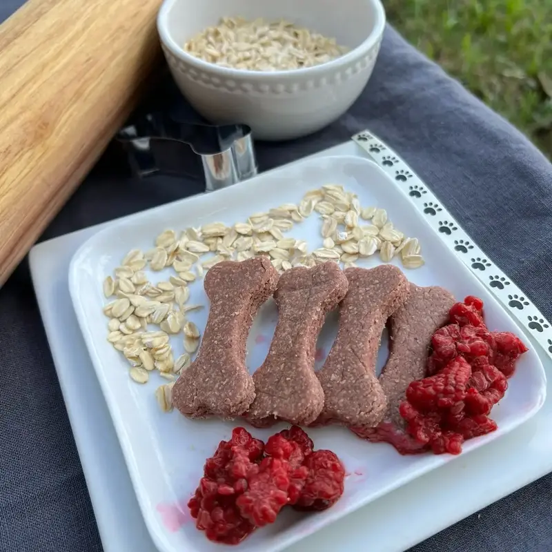 Raspberry Rave Organic Homemade Dog Treats