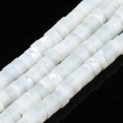 Natural Trochid Shell/Trochus Beads Strands