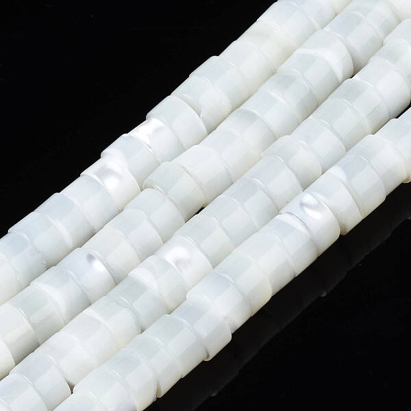 Natural Trochid Shell/Trochus Beads Strands