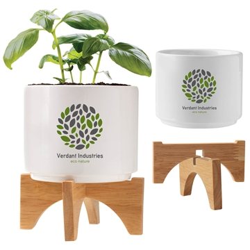48 Custom Ceramic Planter Set - Bamboo Stand & Seed Kit