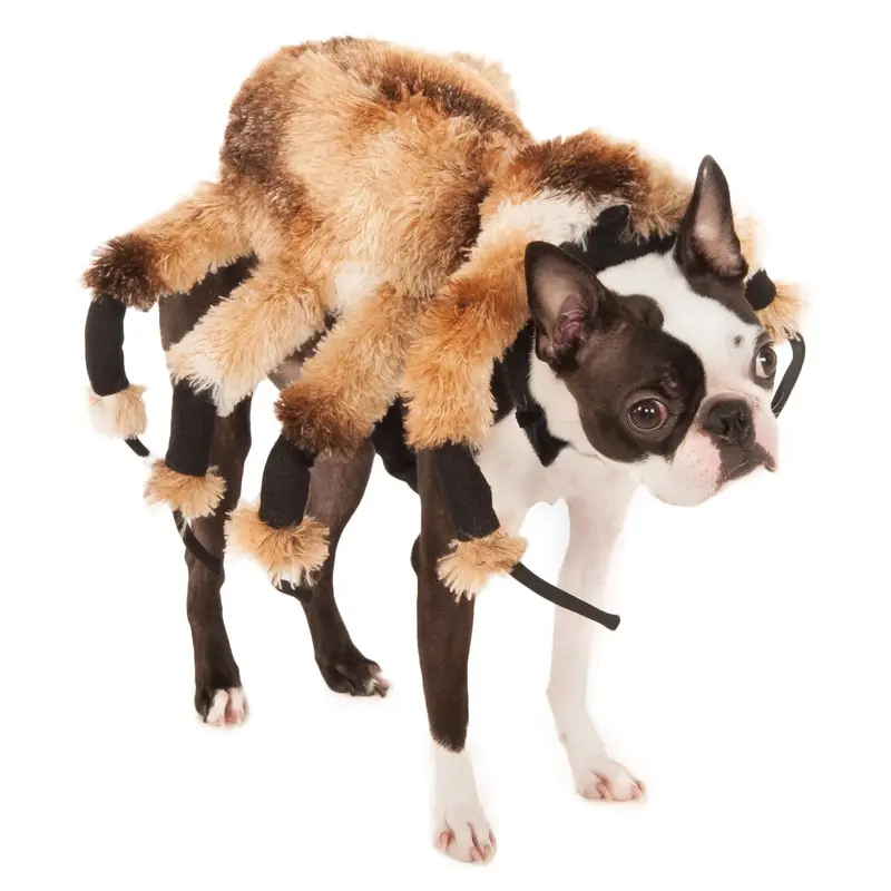 Giant Spider Pet Costume - M