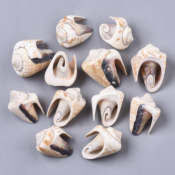 Natural Spiral Shell Beads