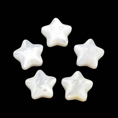 Natural White Shell Beads