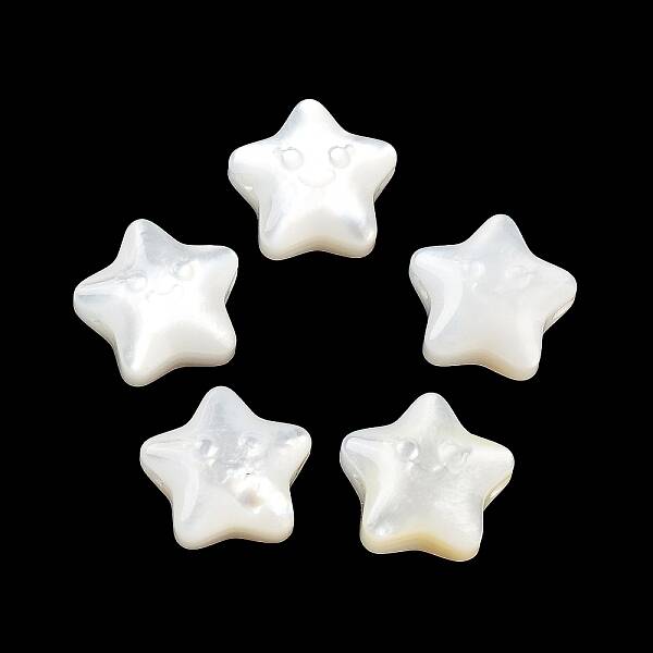 Natural White Shell Beads