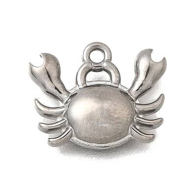 Ocean Series 304 Stainless Steel Charms
