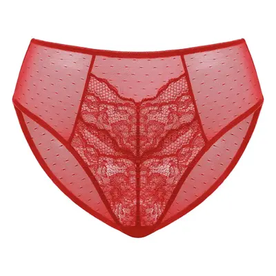 HSIA Enchante Floral Lace Sheer Mesh Back High-Rise Brief Matching Panty Underwear
