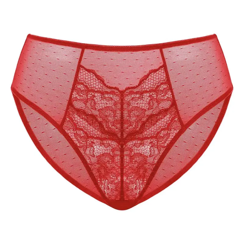 HSIA Enchante Floral Lace Sheer Mesh Back High-Rise Brief Matching Panty Underwear