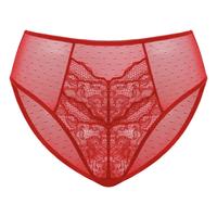 HSIA Enchante Floral Lace Sheer Mesh Back High-Rise Brief Matching Panty Underwear