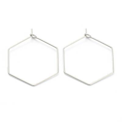 Non-Tarnish 316 Surgical Stainless Steel Earring Hoop