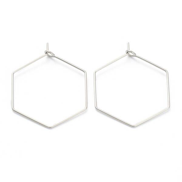 Non-Tarnish 316 Surgical Stainless Steel Earring Hoop