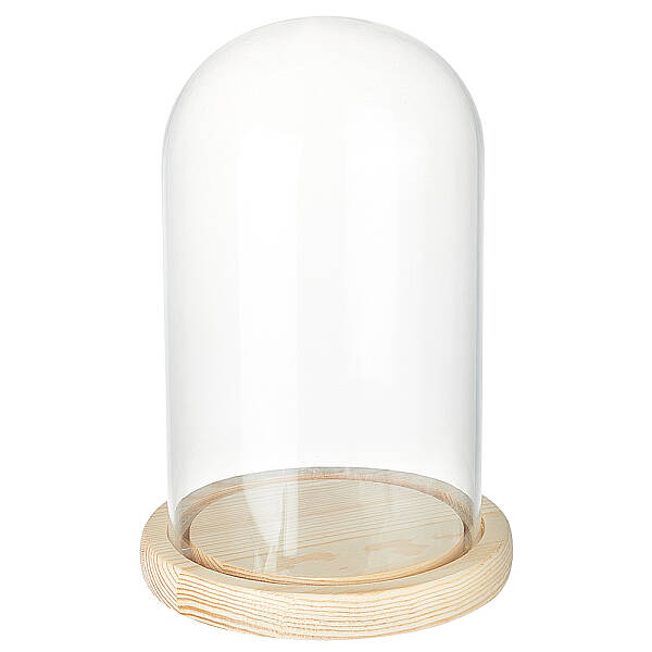 Glass Dome Cover