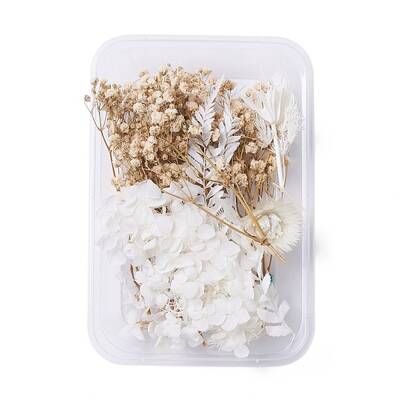 Dried Flowers