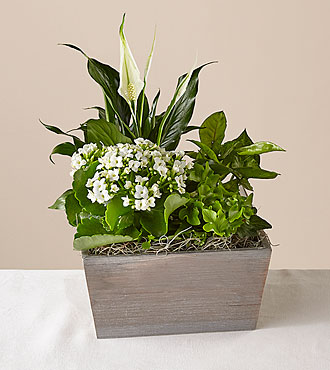 Peaceful White Garden - FedEx