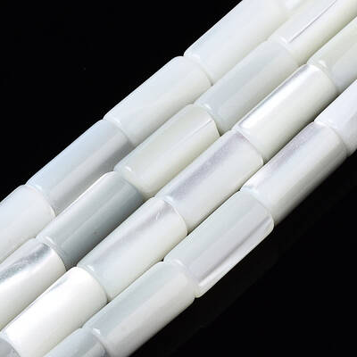 Natural Trochid Shell/Trochus Shell Beads Strands