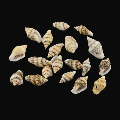 Spiral Shell Charm Pendants