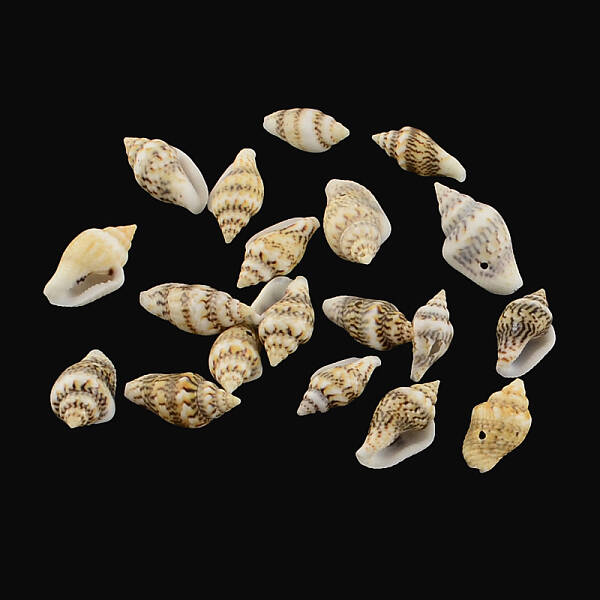 Spiral Shell Charm Pendants