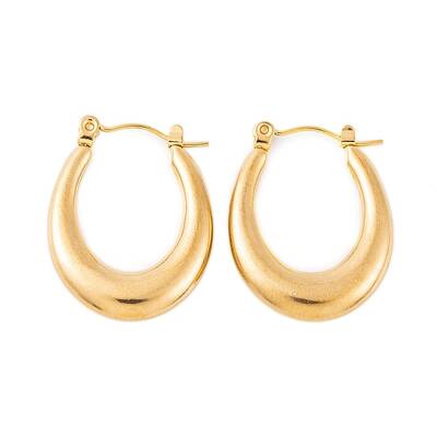 Ion Plating(IP) 304 Stainless Steel Hoop Earrings for Women