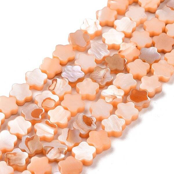 Natural Freshwater Shell Beads Strands