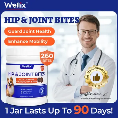 Wellix 260-Count Dog Hip and Joint Chews, Joint Supplement with Glucosamine Chondroitin MSM, Hip & Joint Pain Relief for All ...