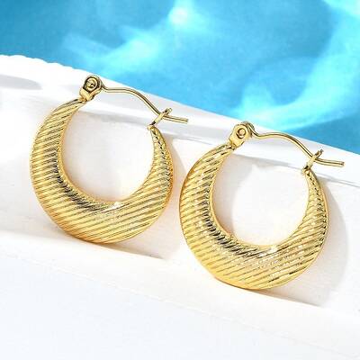 304 Stainless Steel Hoop Earrings for Women