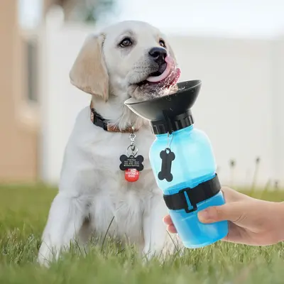 Leak-Proof Dog Water Bottle – Portable Pet Drinker for Outdoor Adventures, Walks, and Travel