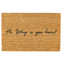 Ho why is you here Door mat, Funny, Decorative Mat, Who You Are, Welcome Mat, Funny Welcome Mat, Go Away Non-slip, Indoor, Ou...