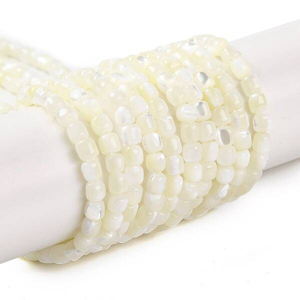 Natural Trochus Shell Beads Strands