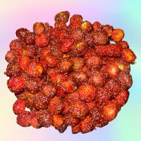 Skittle Enchilados