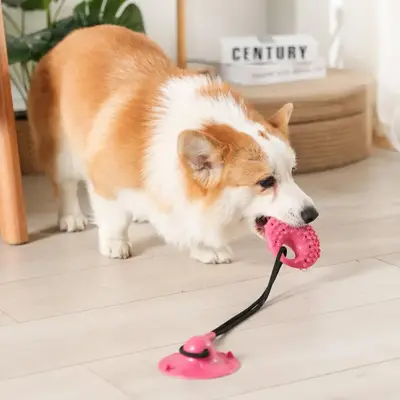 Dog Suction Cup Toy with Telescopic Rope, Fun Pet Interactive Toy, Dog Training Toy for Teething Boredom & Stimulating Tug