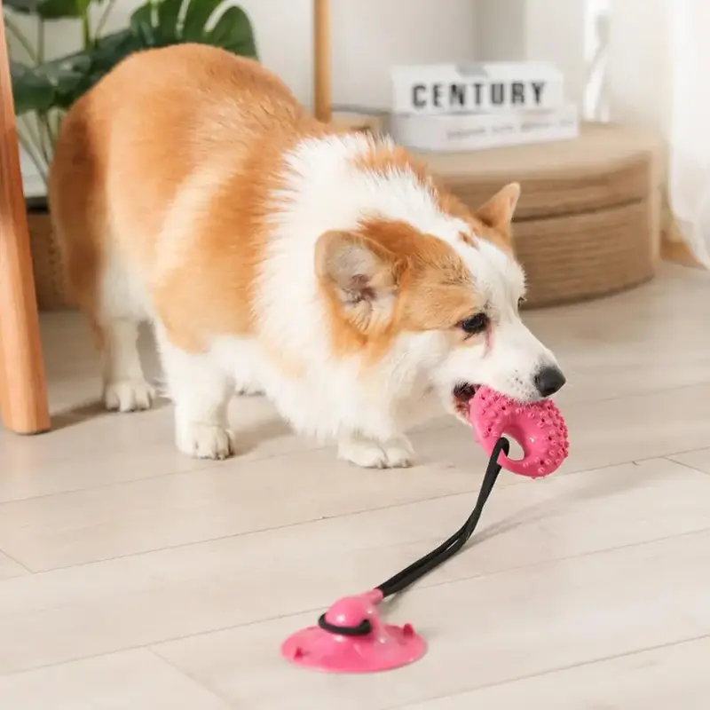 Dog Suction Cup Toy with Telescopic Rope, Fun Pet Interactive Toy, Dog Training Toy for Teething Boredom & Stimulating Tug