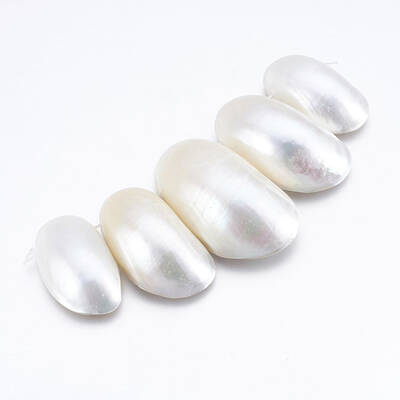 Natural White Shell Beads