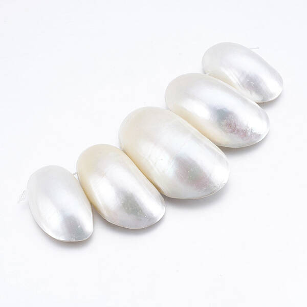 Natural White Shell Beads